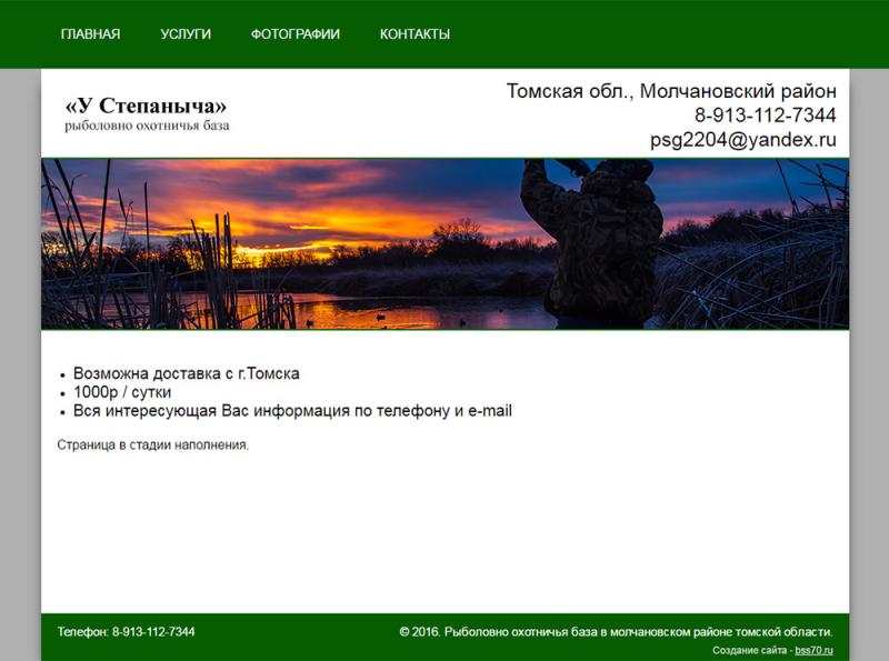 У степаныча (сайт)